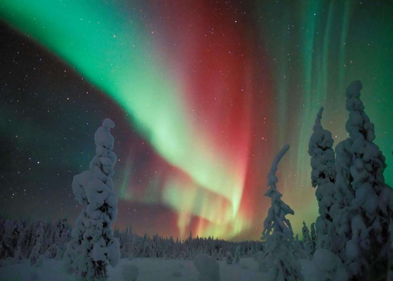 Villa Virpi Rovaniemi Zewnętrze zdjęcie